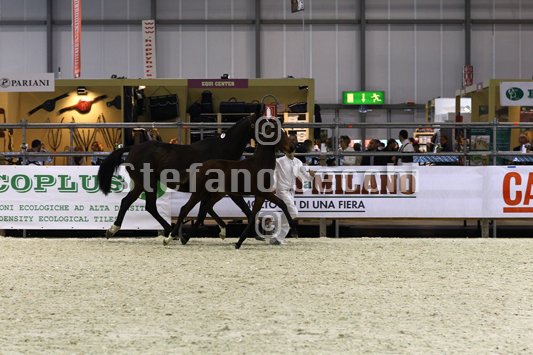 PAN CARRE_MILANO_2010_SS3_8374.jpg